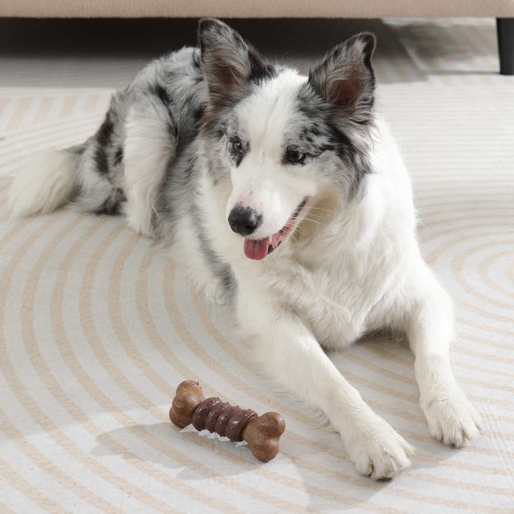 M Pets Chewood Bone with Rubber Chew Toy for Dogs (Brown) - Image 3