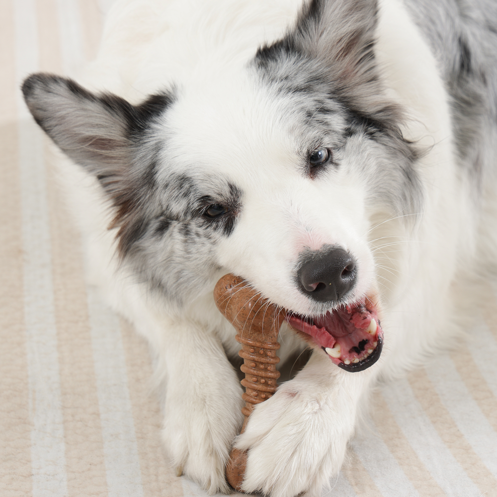 M Pets Chewood Bone Chew Toy for Dogs (Brown) - Image 4