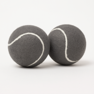 Talking Dog Club Tennis Ball Toy for Dogs (Grey)