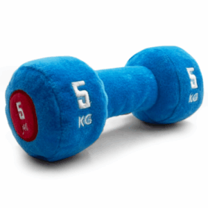 Goofy Tails Gym Series Dumbbell Plush Toy for Dogs (Blue)