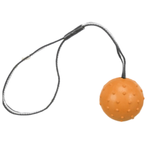 Trixie Ball on a Strap Toy for Dogs (Orange)
