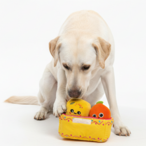 Skatrs Pawldiram Mithai Box Plush Toy for Dogs