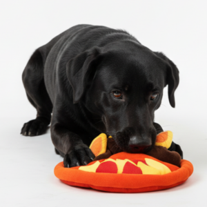 Skatrs Festi Sniff Diya Mat for Dogs