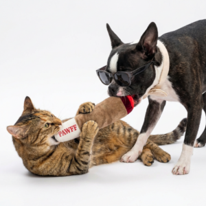 Pawff Puff Plush Toy For Dogs and Cats